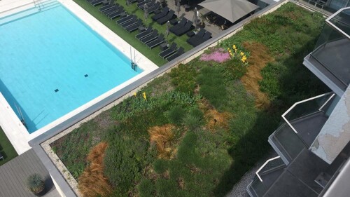 cubiertas azules cubiertas vegetales sostenibilidad control agua entornos urbanos projar (2).jpg